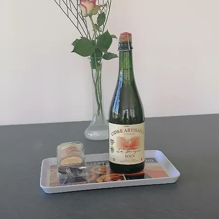 Le C-47 Proche Des Plages Du Débarquement *